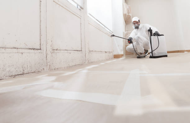 24/7 Emergency Black Mold Removal experts in Melissa, TX