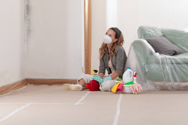 Reliable Mold Cleanup contractor in Melissa, TX by Cheap Mold Removal